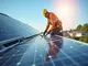 photovoltaik-taubenschutz-wie-sie-ihre-module-schuetzen-koennen